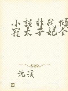 小说非我倾城独宠太子妃全文免费阅读