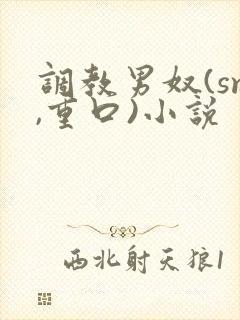 调教男奴(sm,重口)小说封面