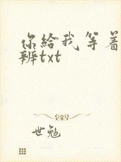 你给我等着九时辨txt封面