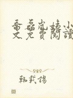 乔磊岚姨小说全文免费阅读