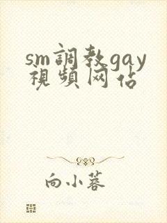 sm调教gay视频网站