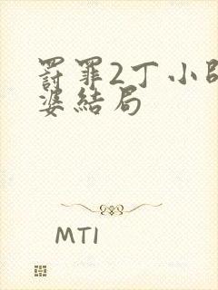 罚罪2丁小帅老婆结局