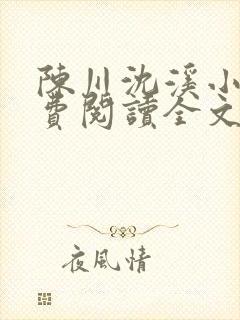 陈川沈溪小说免费阅读全文最新章节封面