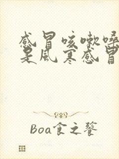 感冒咳嗽嗓子疼是风寒感冒还是风热感冒