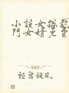 小说女总裁的上门女婿免费下载