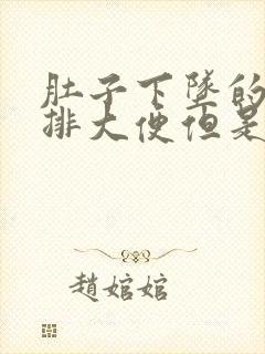 肚子下坠的疼想排大便但是没有