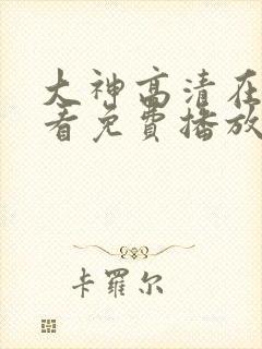 大神高清在线观看免费播放电视剧