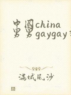 中国china男男gaygay视频