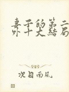 妻子的第二春番外十大结局