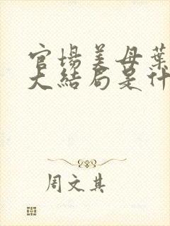 官场美母叶玉瑶大结局是什么