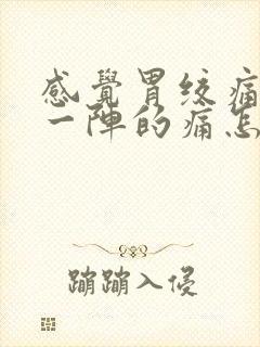 感觉胃绞痛一阵一阵的痛怎么回事封面