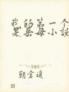 我的第一个女人是岳母小说