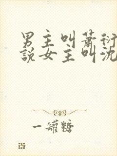 男主叫萧衍的小说女主叫沈