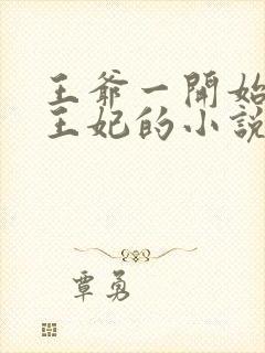 王爷一开始讨厌王妃的小说