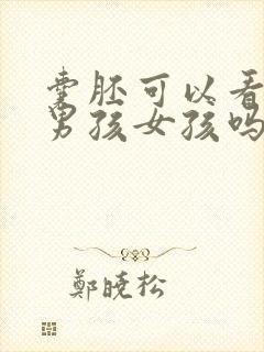 囊胚可以看出是男孩女孩吗