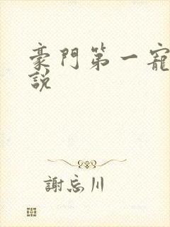 豪门第一宠婚小说