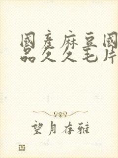 国产麻豆国精精品久久毛片封面