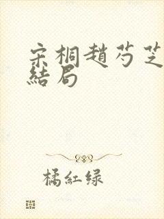 宋桐赵芍芝番外结局封面