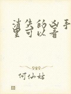 消失的凶手在哪里可以看