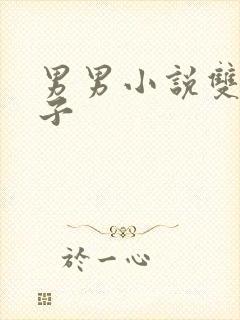 男男小说双性生子