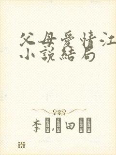 父母爱情江昌义小说结局封面