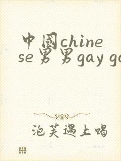 中国chinese男男gay gay激情av封面
