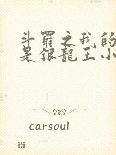 斗罗之我的老婆是银龙王小说免费阅读