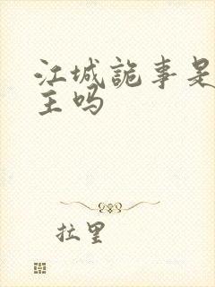 江城诡事是双男主吗