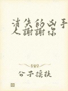 消失的凶手好心人谢谢你