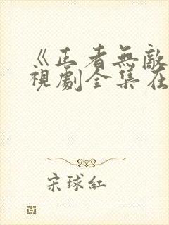 《正者无敌》电视剧全集在线观看