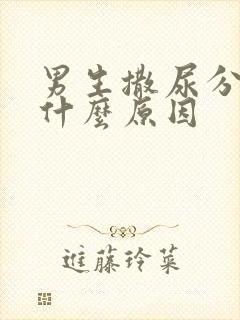 男生撒尿分叉是什么原因封面