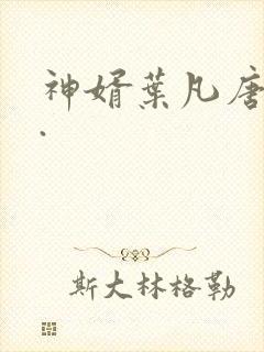 神婿叶凡唐若雪.