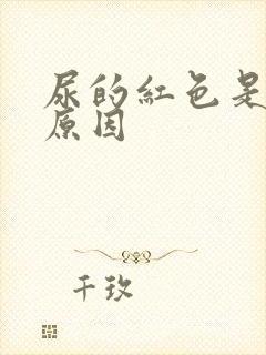 尿的红色是什么原因