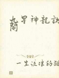九星神龙诀笔趣阁封面