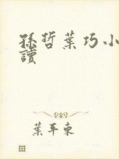 孙哲叶巧小说阅读