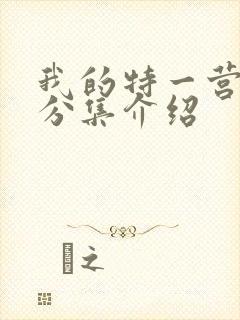 我的特一营剧情分集介绍封面