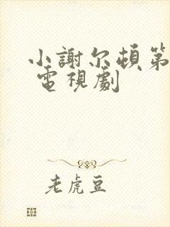 小谢尔顿第一季 电视剧封面