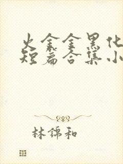 火金金黑化病娇短篇合集小说封面