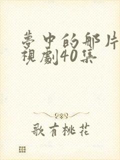 梦中的那片海电视剧40集