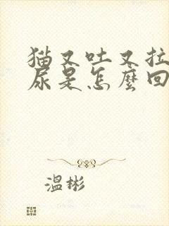 猫又吐又拉不出尿是怎么回事