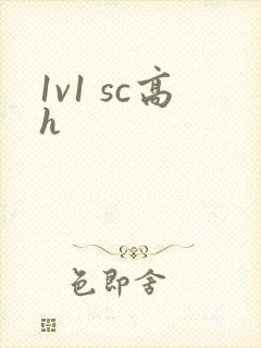 1v1 sc高h