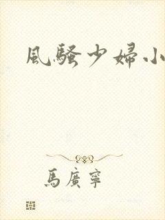 风骚少妇小说
