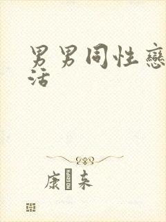 男男同性恋性生活