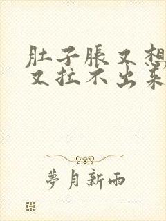 肚子胀又想大便又拉不出来封面