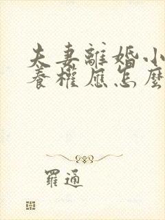 夫妻离婚小孩抚养权应怎么判