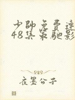 少帅免费连续剧48集策驰影视