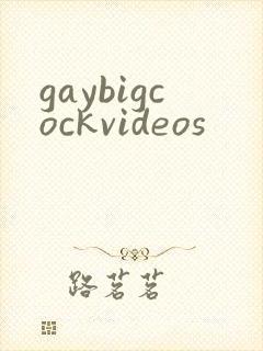 gaybigcockvideos