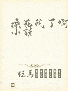 操死我了啊啊啊小说封面