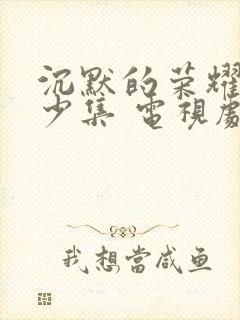 沉默的荣耀共多少集 电视剧免费观看封面