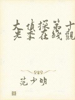 大侦探第十季拾光季在线观看免费版高清